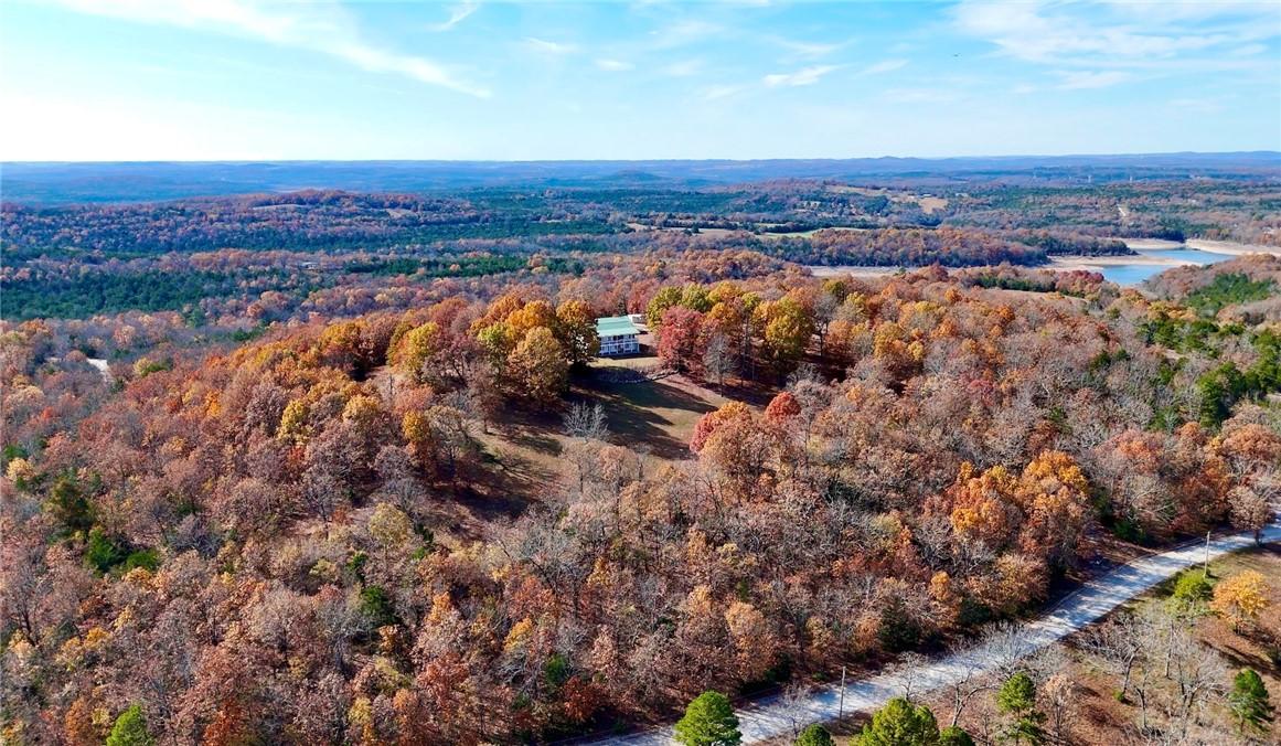 Image 3: Drone / aerial view of a forest