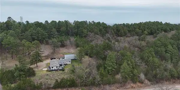 Image 2: Bird's eye view of a forest
