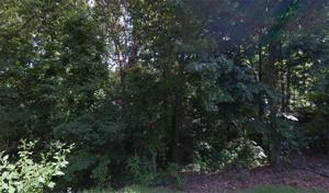 Basore Lane