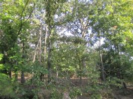 Lot 21 Blk 5 Forfar Drive