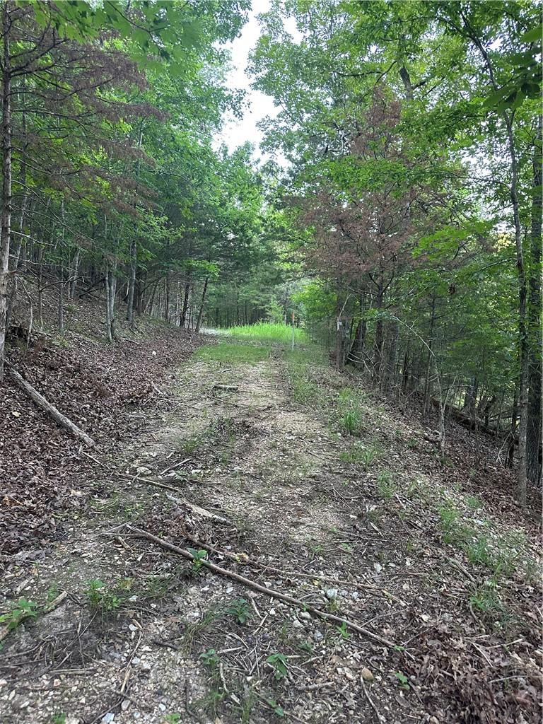 Image 3: Interior trail or road up to main road