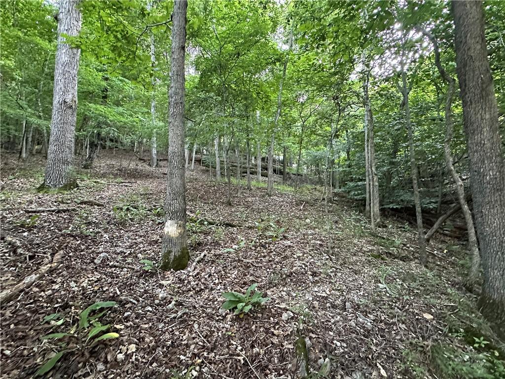 Image 4: Cave or bluff shelter is in the bluff line up abov