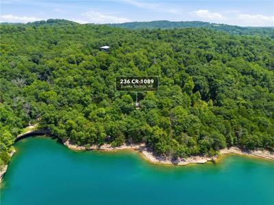 236 County Road 1089