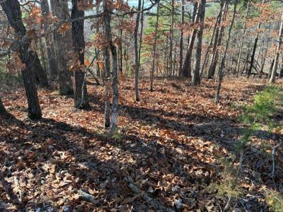 Lot 160 Tanglewood Road