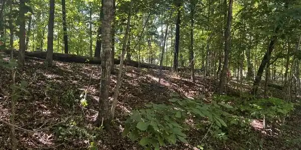 Lot 12 Block 8 Riding Lane