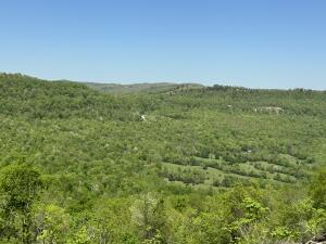 Image 2: RSJ pic19