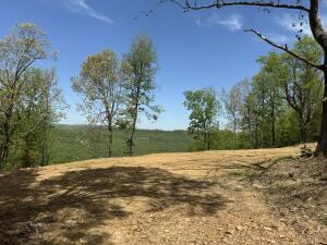 Image 3: RSJ pic15
