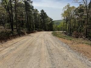 Image 4: RSJ pic1