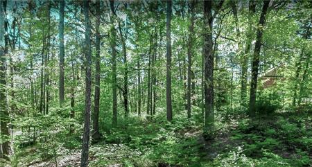 Lot 4 Leafield Lane
