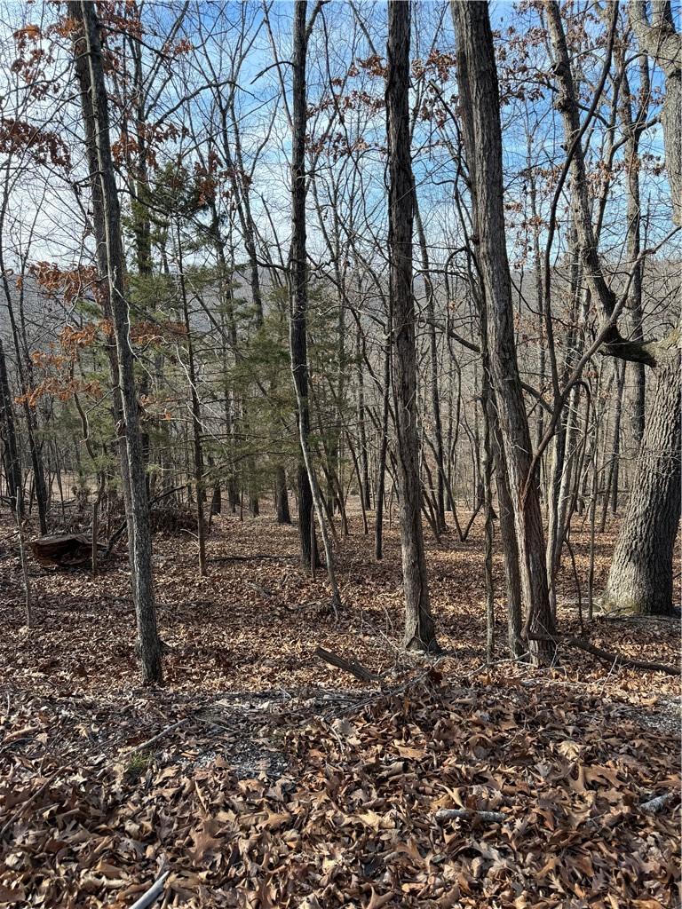 Image 1: View of local wilderness