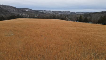 TBD Hwy 187