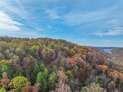 540 County Road 116