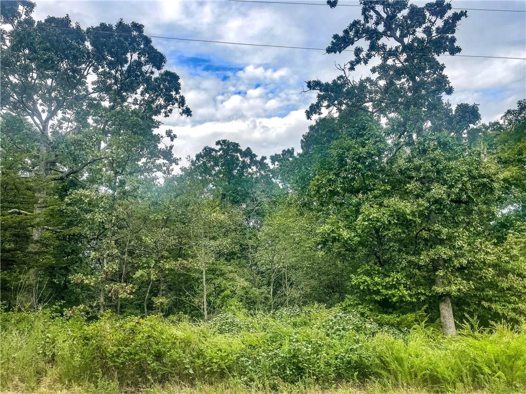Image 3: View of woods