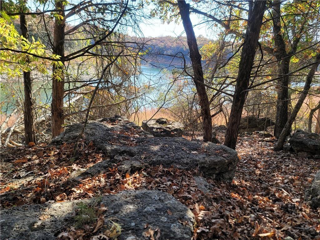 Image 1: View of undeveloped land
