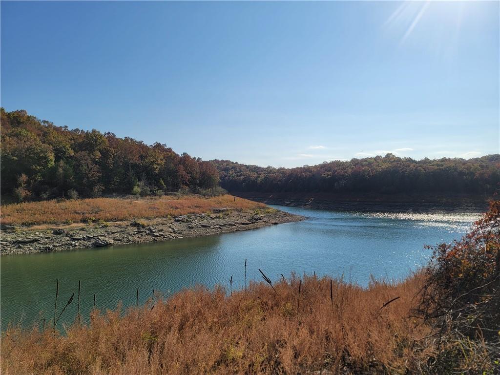Image 2: Water view featuring a forest