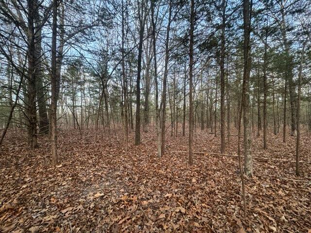 Image 3: The property features a wooded landscape with a de