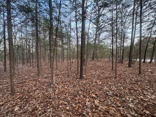 Image 4: The property features a wooded landscape with exte