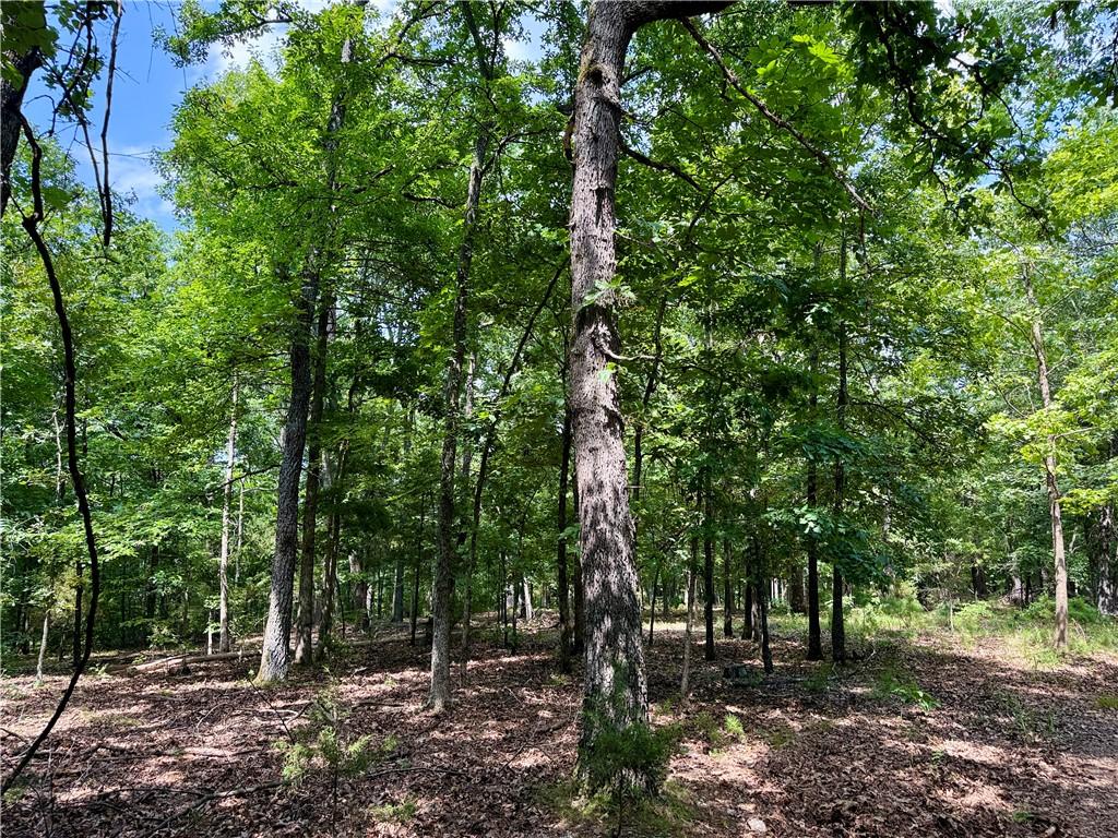Image 1: Level Wooded Acreage