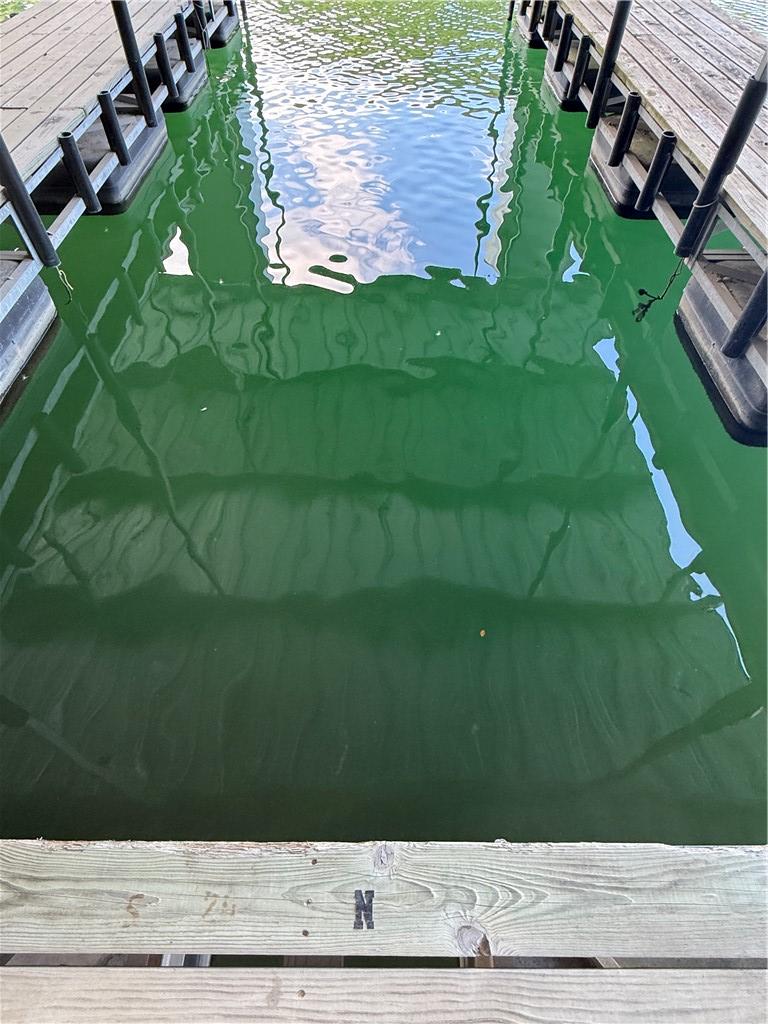 Image 4: Boat Slip "N"