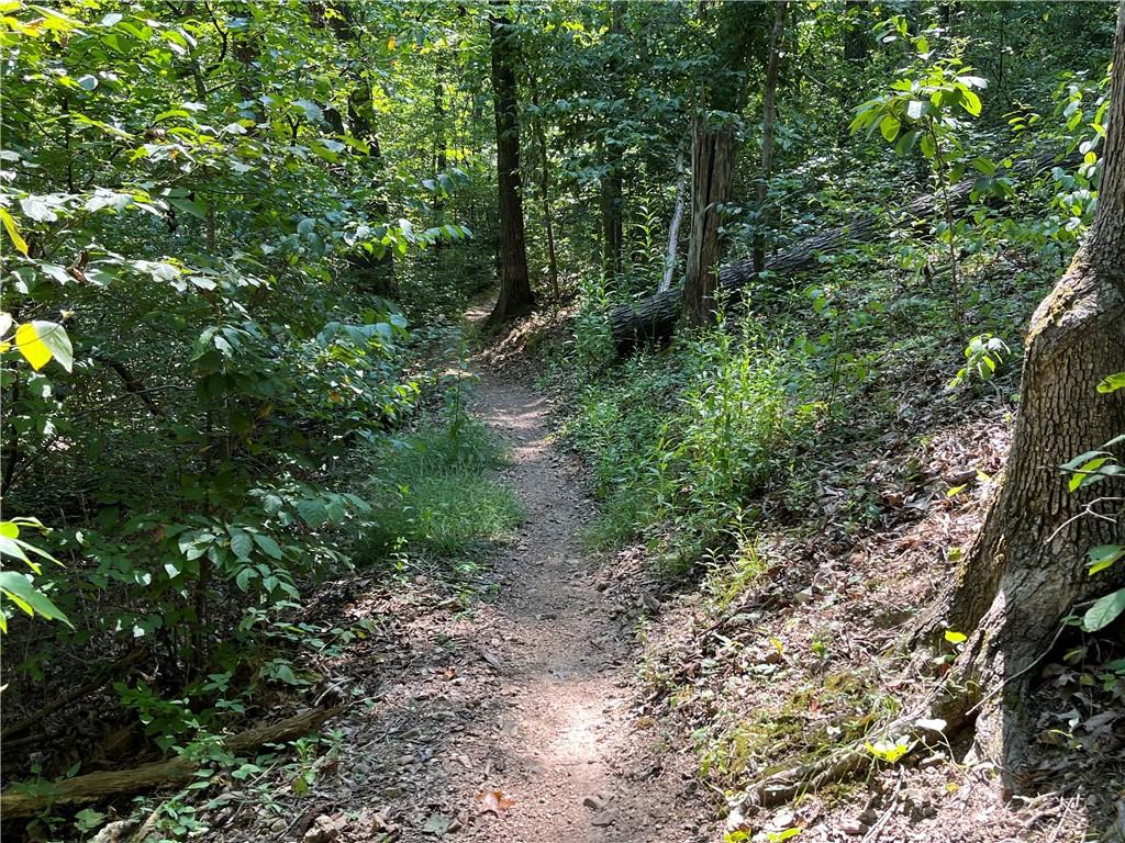 Image 3: Back 40 Trail Directly Behind Lot