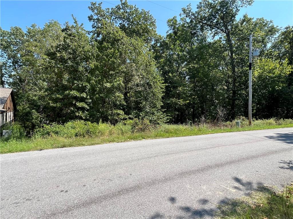 Image 4: View of lot from the paved street in front of lot.