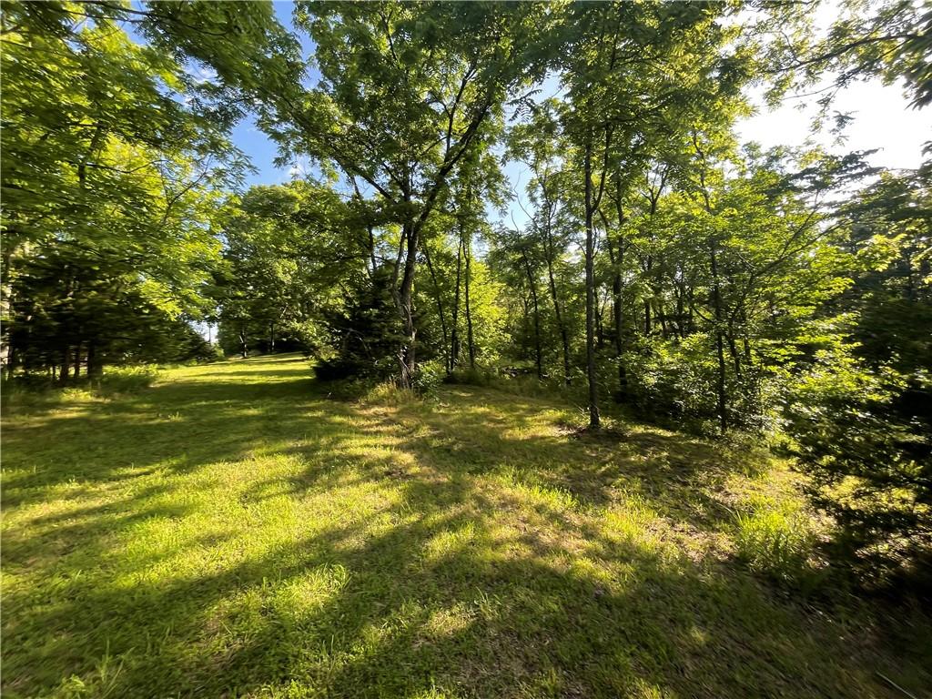 Image 4: Expansive green space featuring mature trees and d