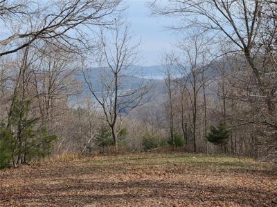Lot 74 Buckhorn Drive