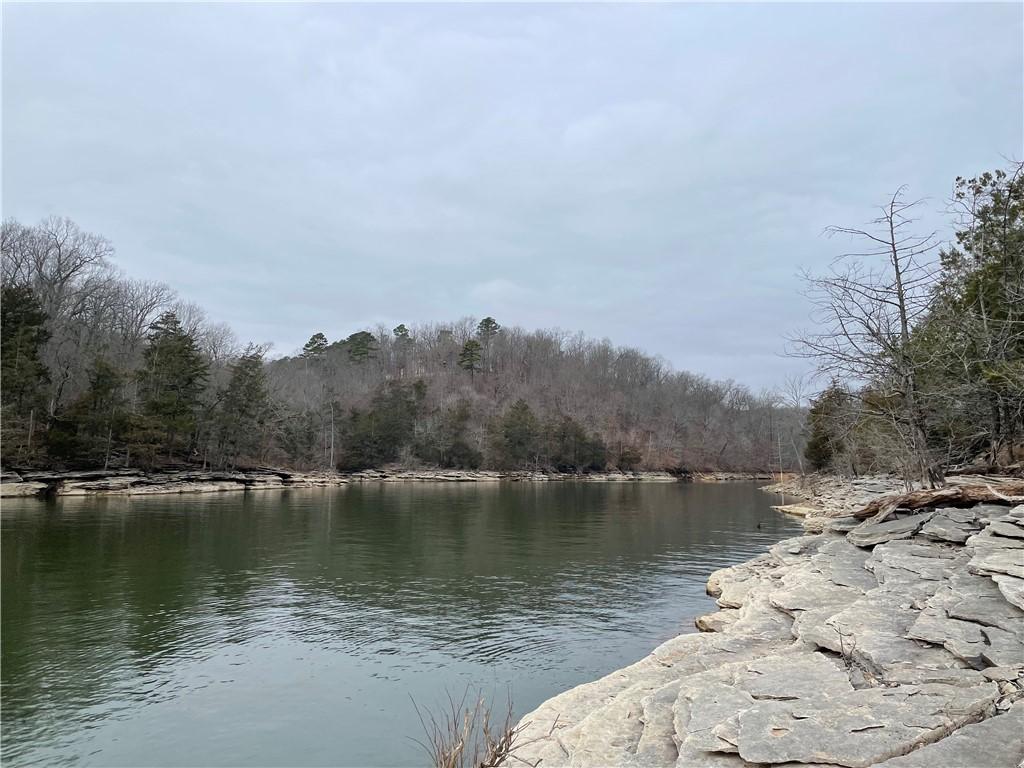 Image 3: Water view with a heavily wooded area