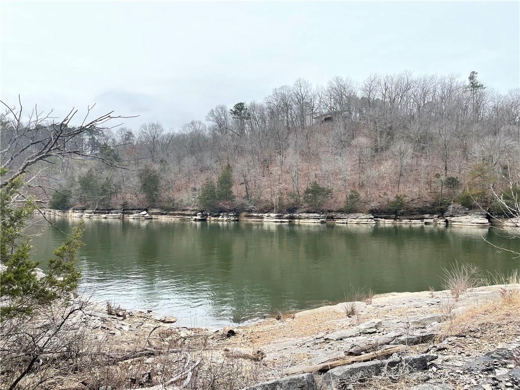 Image 4: Water view featuring a heavily wooded area