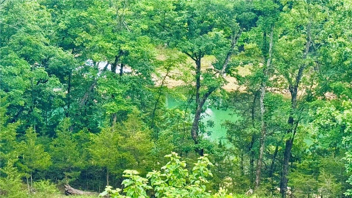Image 3: Lake frontage