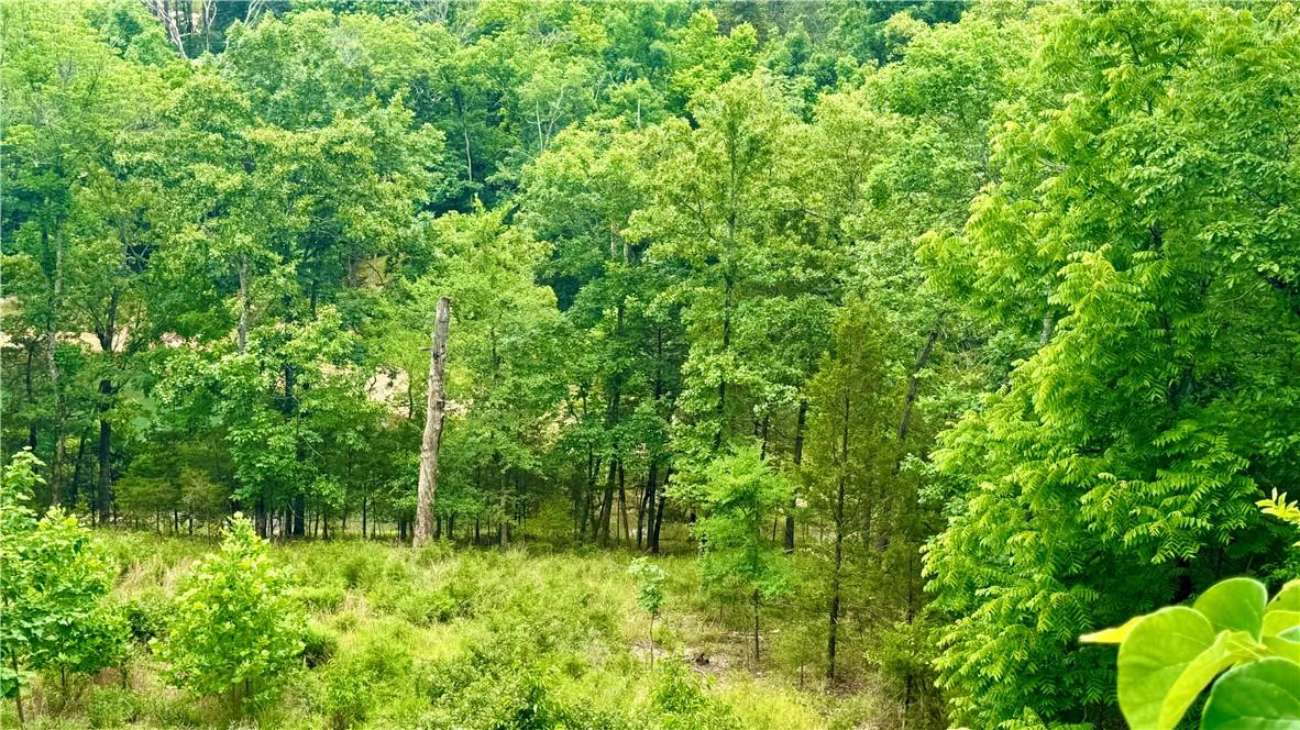 Image 4: Expansive wooded acreage featuring a dense canopy