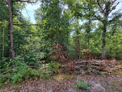 Lot 12 Florence Lane