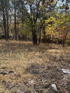 0 SilverSpur Lane