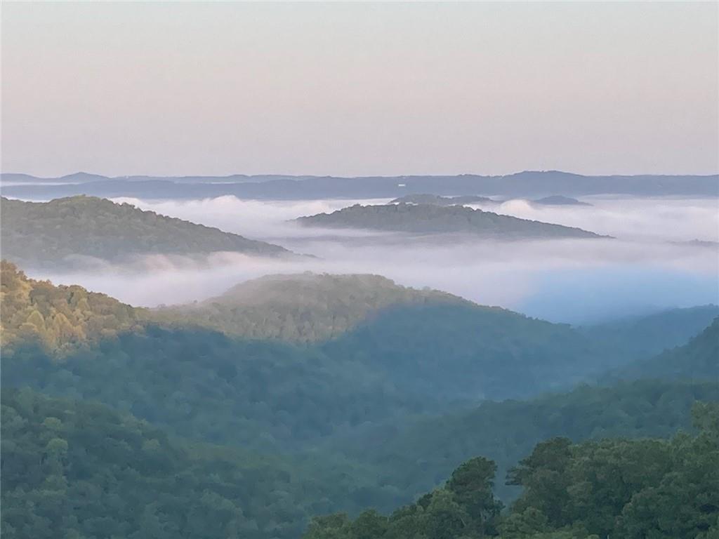 Image 1: Foggy morning view