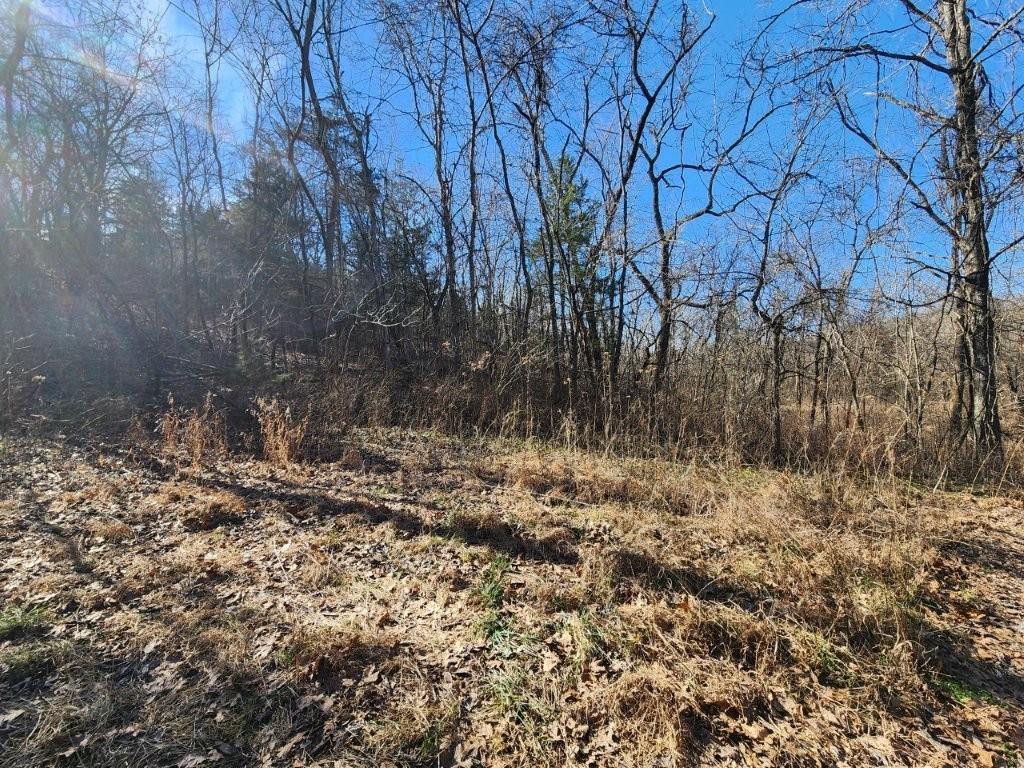 Image 2: View of undeveloped land