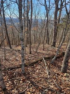 Holiday Island, Lot 11 Drive