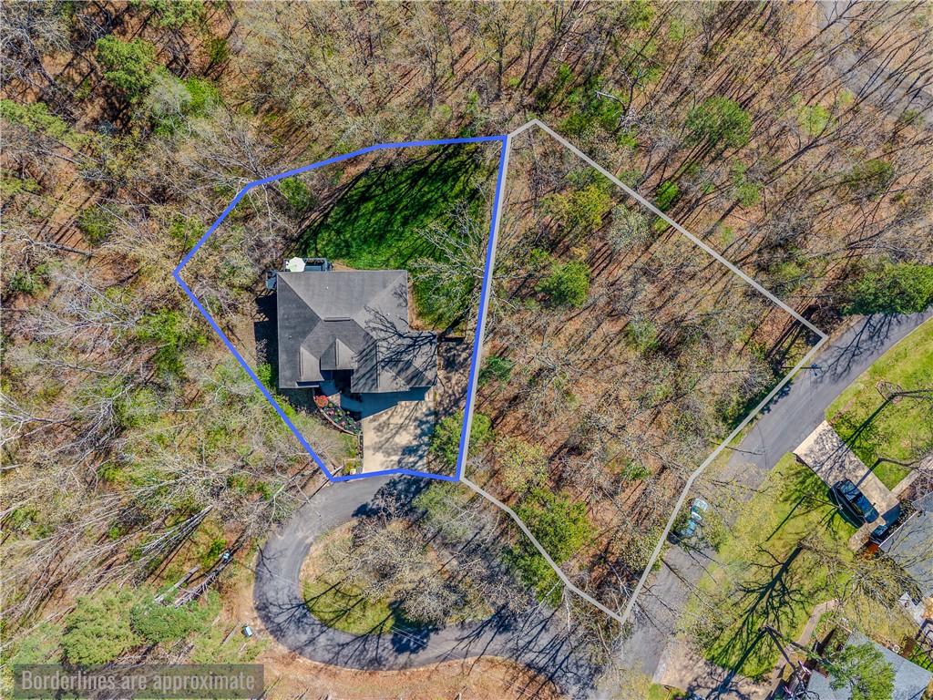 Image 2: Outline of home lot and .40 acre lot included