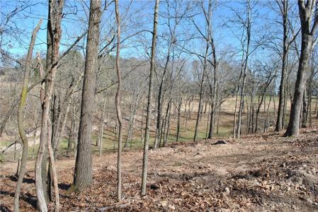Lot 105 E Robin Road