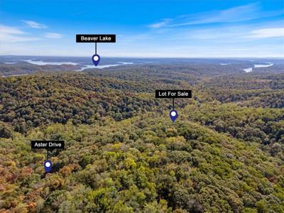 LOT 264 Aster Drive