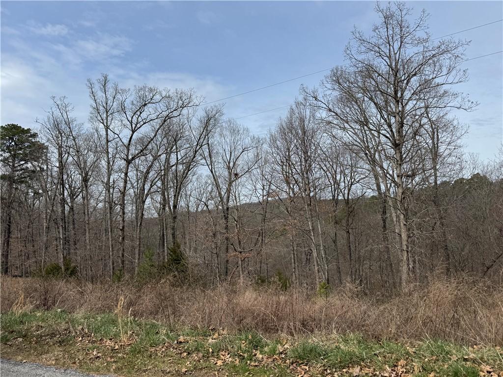 Image 4: View of undeveloped land