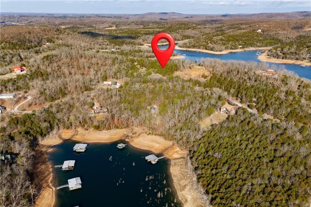 Image 3: Expansive land parcel with surrounding wooded area