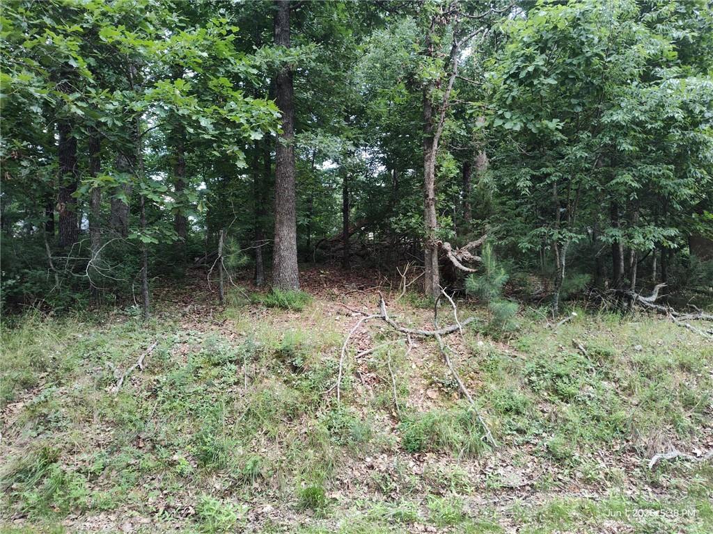 Image 1: Wooded land parcel featuring mature deciduous tree