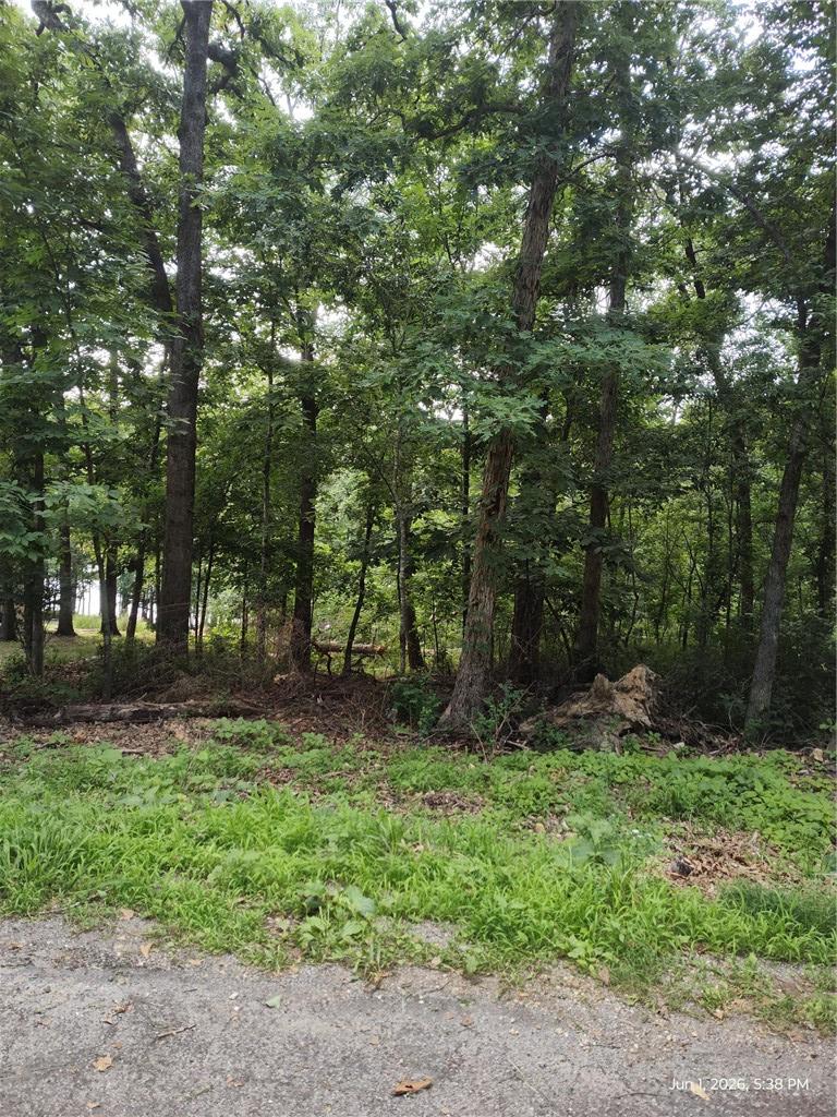 Image 4: Wooded land parcel featuring mature trees and grou