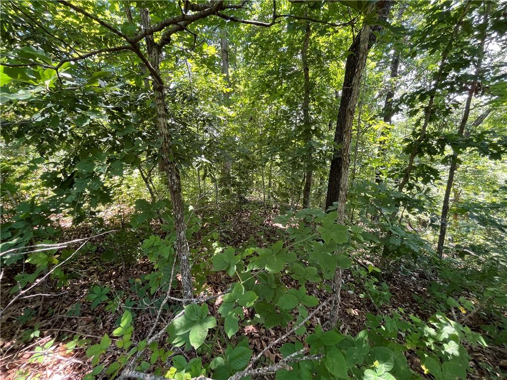 Image 3: Lot located near Tunnel Vision trailhead.