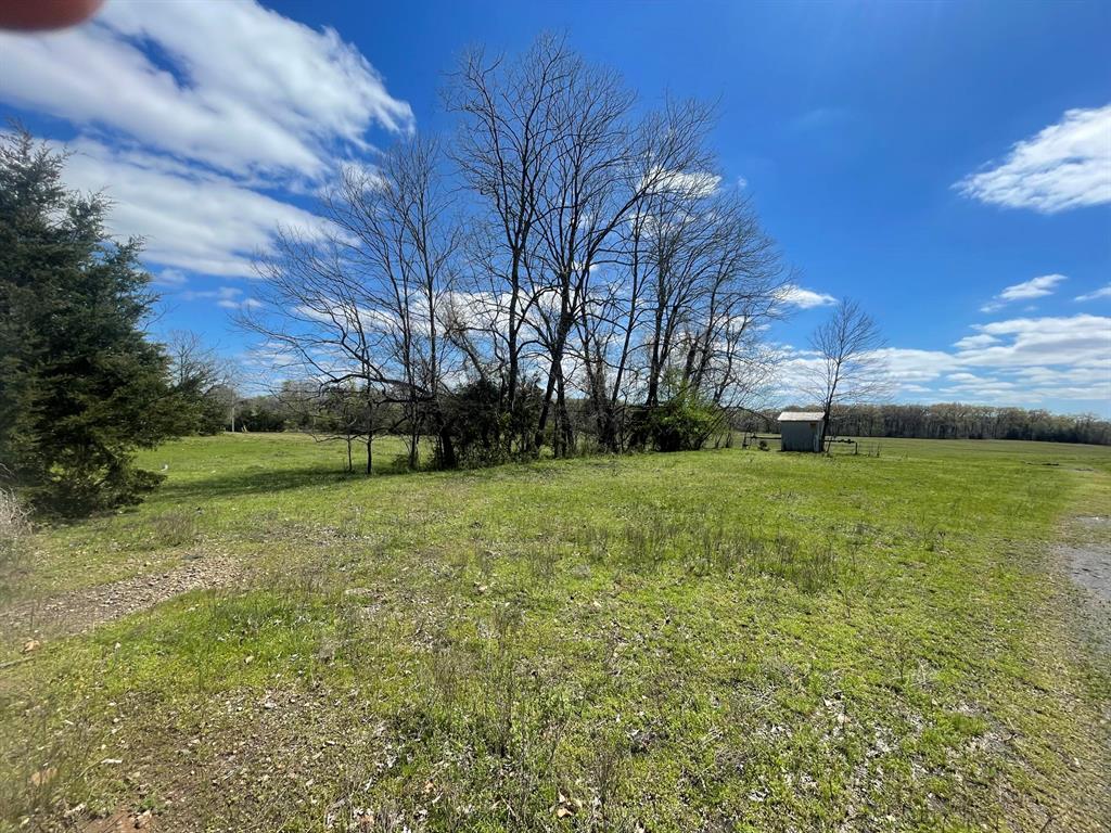 Image 2: Expansive green acreage with scattered mature tree