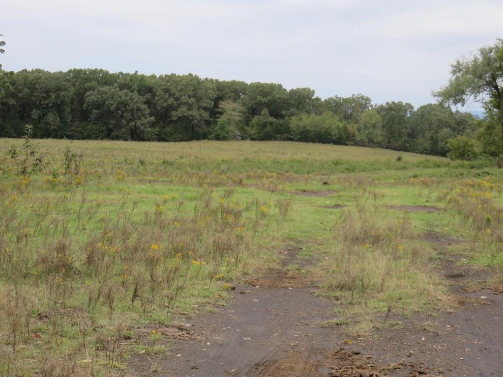 Image 4: Expansive open field with natural vegetation and m