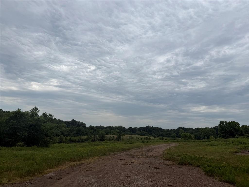 Image 1: Expansive open land with a meandering dirt path, s