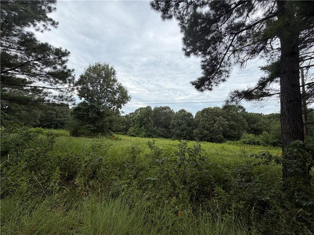 Image 2: Expansive land parcel featuring open fields and ma