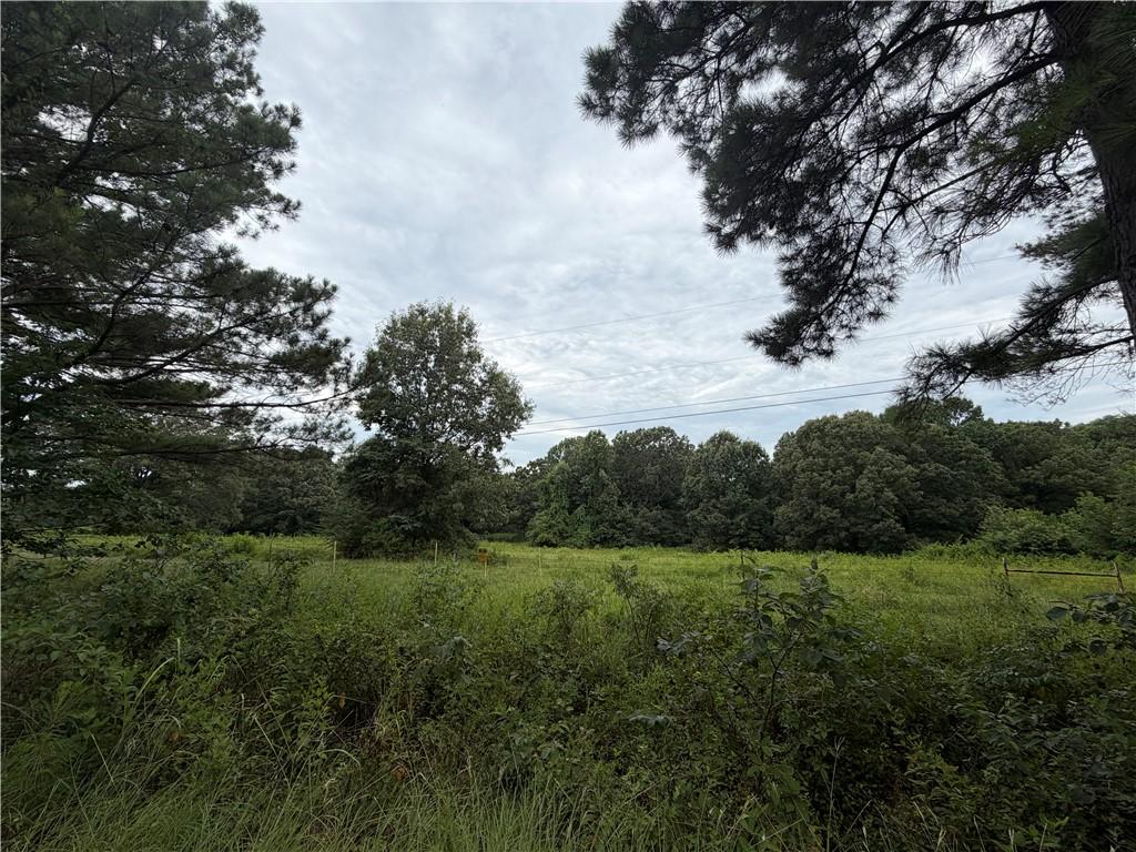 Image 4: Expansive open land with mature trees and natural