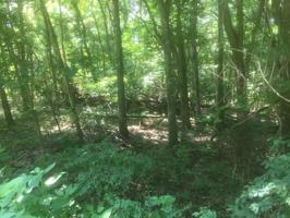 Lot 87 Larkspur  LN